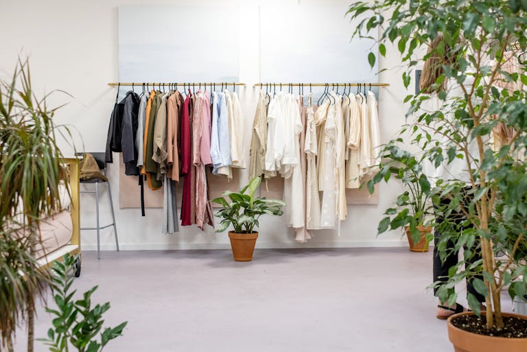 Sublime Attire Creation | fashion boutique showcasing vibrant clothing collection with lush indoor plants.